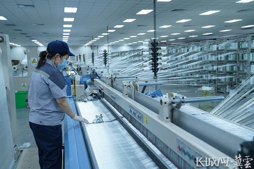 學思用貫通 知信行統(tǒng)一 冀中能源打造百億級玻璃纖維產(chǎn)業(yè)集群與新興能源技術研發(fā)